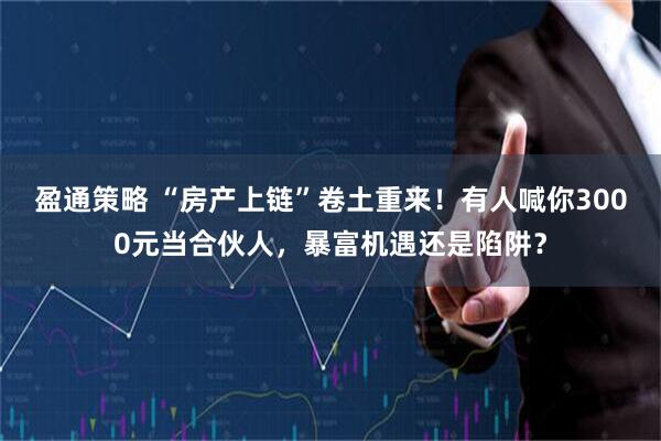 盈通策略 “房产上链”卷土重来！有人喊你3000元当合伙人，暴富机遇还是陷阱？