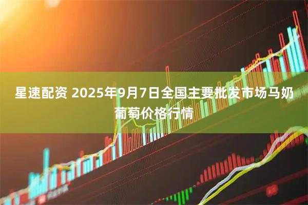 星速配资 2025年9月7日全国主要批发市场马奶葡萄价格行情