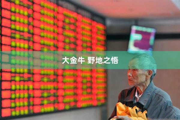 大金牛 野地之悟