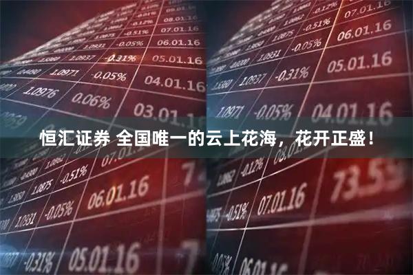 恒汇证券 全国唯一的云上花海，花开正盛！