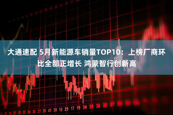 大通速配 5月新能源车销量TOP10：上榜厂商环比全部正增长 鸿蒙智行创新高