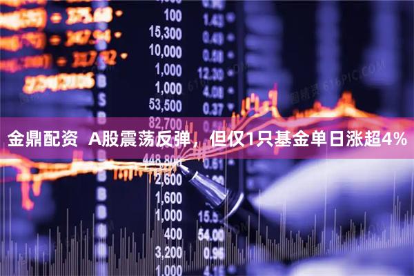 金鼎配资  A股震荡反弹，但仅1只基金单日涨超4%