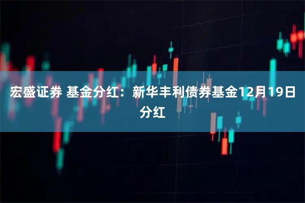 宏盛证券 基金分红：新华丰利债券基金12月19日分红